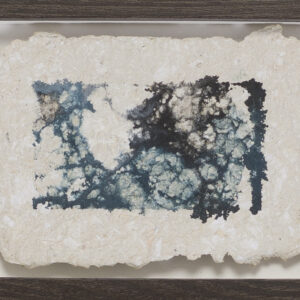 _Die Morpholoiden IV_Reisleimdruck auf Büttenpapier_15x20_