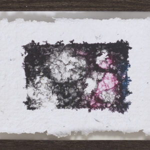 _Die Morpholoiden VIII_Reisleimdruck auf Büttenpapier_15x20_