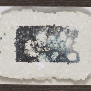 _Die Morpholoiden VI_Reisleimdruck auf Büttenpapier_15x20_