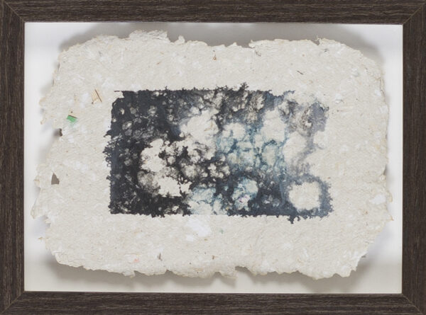 _Die Morpholoiden VI_Reisleimdruck auf Büttenpapier_15x20_