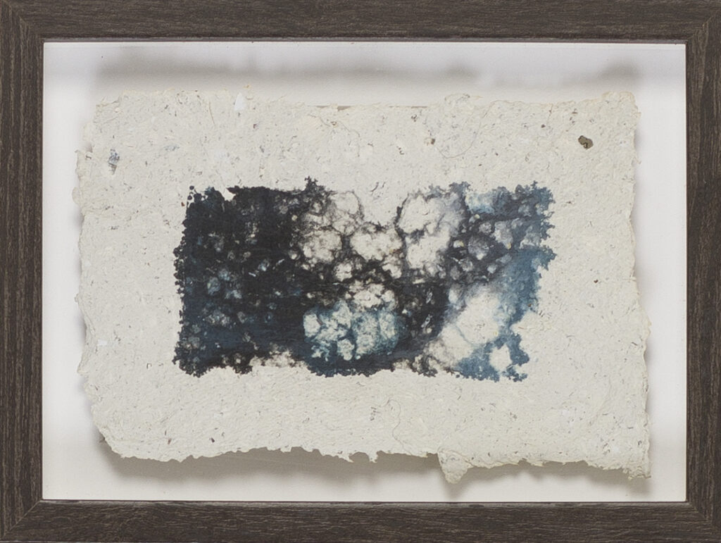 _Die Morpholoiden V_Reisleimdruck auf Büttenpapier_15x20_