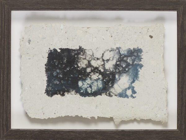 _Die Morpholoiden V_Reisleimdruck auf Büttenpapier_15x20_